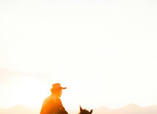 Bağcılar Mesleki Ve Teknik Anadolu Lisesi Hakkında Bilmeniz Gerekenler