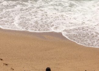 May Eczane Bağcılar: En İyi Hizmet ve Uygun Fiyatlar Burada!