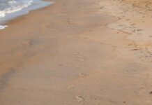 Bağcılar Hava Durumu: Bugün Nasıl Olacak? Merak Edilenler!