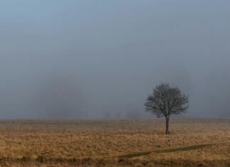Bağcılar Diş Sağlığı: En Etkili Tedavi Yöntemleri Nelerdir?