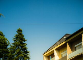 Bağcılar Da Annesinin Kafasını Kesti Video Sansürsüz Şok Edici Gerçekler