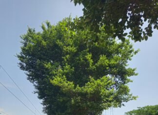 Bağcılar Escort Bayan Hizmetlerinde Kalitenin Sırrı Nedir?