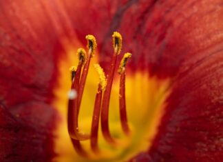 Oto Center Bağcılar: En İyi Hizmet ve Fırsatları Keşfedin!