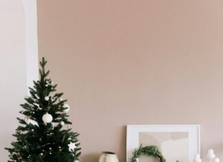 Bağcılar Evden Eve Nakliyat İle Kolay ve Güvenli Taşınmanın Sırları