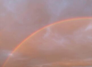 Bağcılar İtfaiye İstasyonu Neden Hayat Kurtarıyor? Merak Edin!