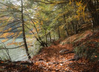 Bağcılar Devlet Hastanesi Yol Tarifi: En Kolay ve Hızlı Rehber