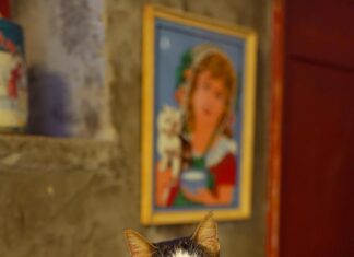 Kahve Dünyası Bağcılar File İle Kahve Keyfinizi Zirveye Taşıyın!