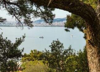 İstanbul Bağcılar İbni Sina Anadolu Lisesi: Başarıya Giden Sırları Keşfedin