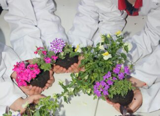 Bağcılar Halk Eğitim Merkezi Nedir? Keşfetmeye Hazır Mısınız?