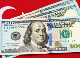 20 Dolar Kaç TL? Güncel Kur ile Doğru Hesaplama Yöntemi
