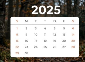 2025 Resmi Tatilleri: Planlamanıza Yardımcı Olacak Takvim