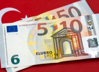5 Euro kaç TL? Güncel döviz kurunu kolayca öğrenin