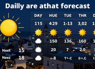 Ardahan Hava Durumu: Günlük Öngörü ve Gece-Gündüz Sıcaklık Bilgileri