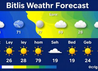 Bitlis Hava Durumu: Güncel Günlük Tahminler ve Gece-Gündüz Sıcaklık Bilgileri