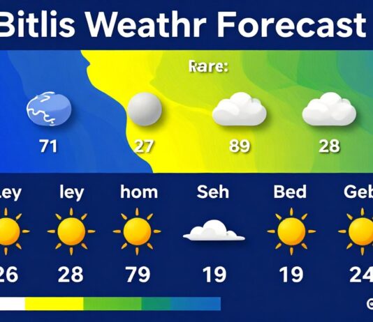 Bitlis Hava Durumu: Güncel Günlük Tahminler ve Gece-Gündüz Sıcaklık Bilgileri