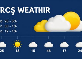 Erciş Hava Durumu: Günlük Tahminler ve Geçerli Koşullar