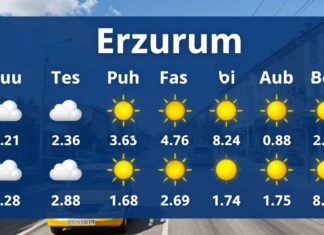 Erzurum Hava Durumu: Güncel Hava Durumu ve Planlama İçin Detaylı Bilgi
