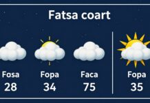 Fatsa Hava Durumu: Güncel ve Güvenilir Tahminler