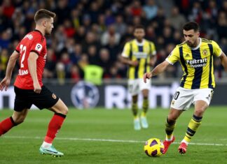 Feyenoord ile Fenerbahçe’nin Avrupa Macerası: Takımların Güçlü Maçı