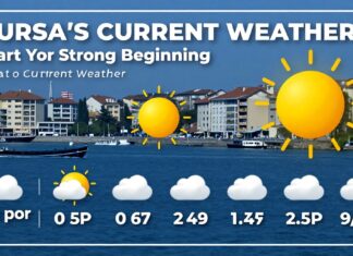 Bursa’nın Güncel Hava Durumu: Planlarınızı Güçlü Bir Başlangıçla Başlatın