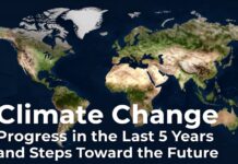 İklim Değişikliği: Son 5 Yılın İlerlemeleri ve Geleceğe Yönelik Adımlar