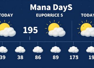 Manisa Hava Durumu: Bugün ve Gelecek 5 Günün En Güncel Tahmini