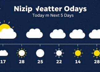 Nizip Hava Durumu: Bugün ve Gelecek 5 Günün Hava Tahmini