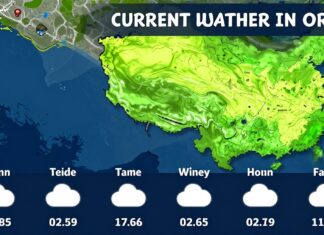 Ordu’da Güncel Hava Durumu ve Hafta İçi Tahminleri