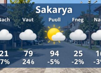 Sakarya Hava Durumu: Güncel Hava Durumunu Kontrol Edin