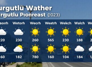 Turgutlu Hava Durumu: Günlük Öngörü ve Hava Koşulları Bilgisi