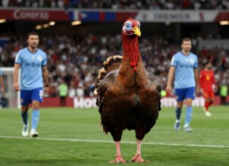 Türkiye maçını kaç kanalda izleyin – en iyi seçenekleri öğrenin
