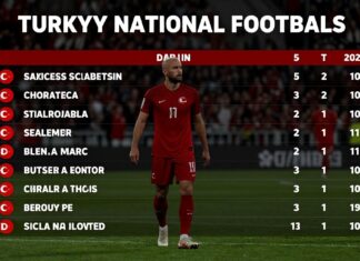 Türkiye Millî Futbol Takımı’nın Güncel Puan Durumu ve Sıralama Bilgileri