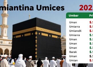 2025 için En Güncel ve Avantajlı Umre Fiyatları